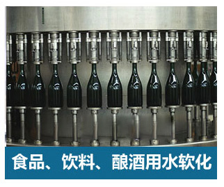 0.5噸(500L)每小時(shí)出力全自動(dòng)軟水器