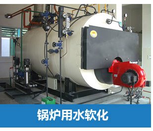 全自動(dòng)軟水器