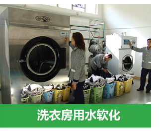 2噸/小時全自動軟水器